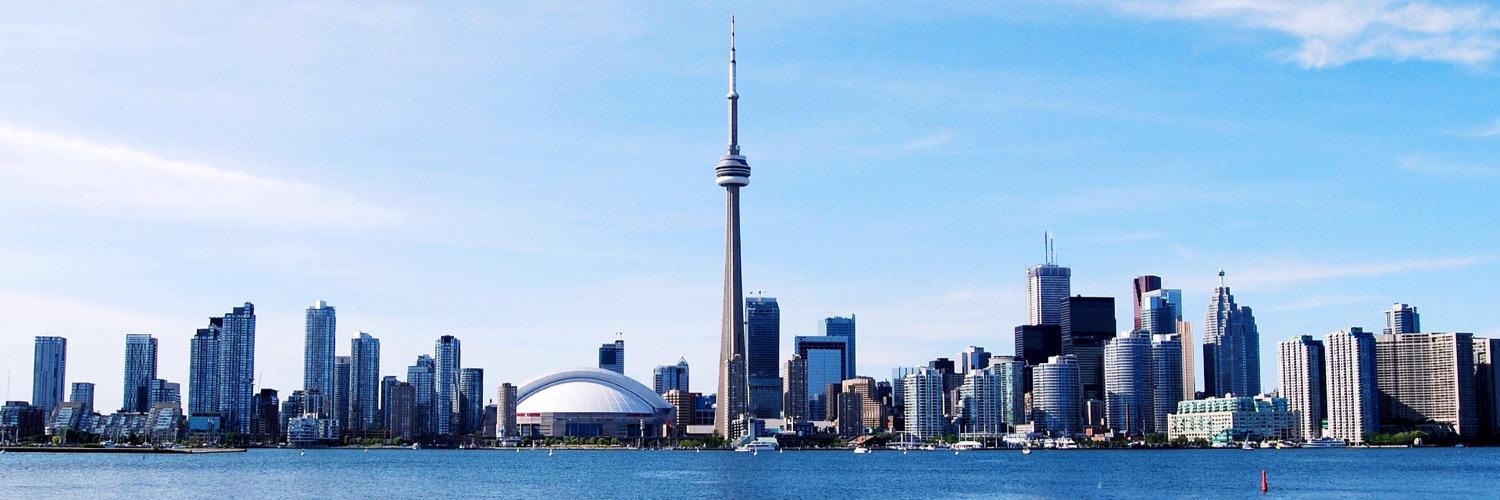 Daria Catenacci banner