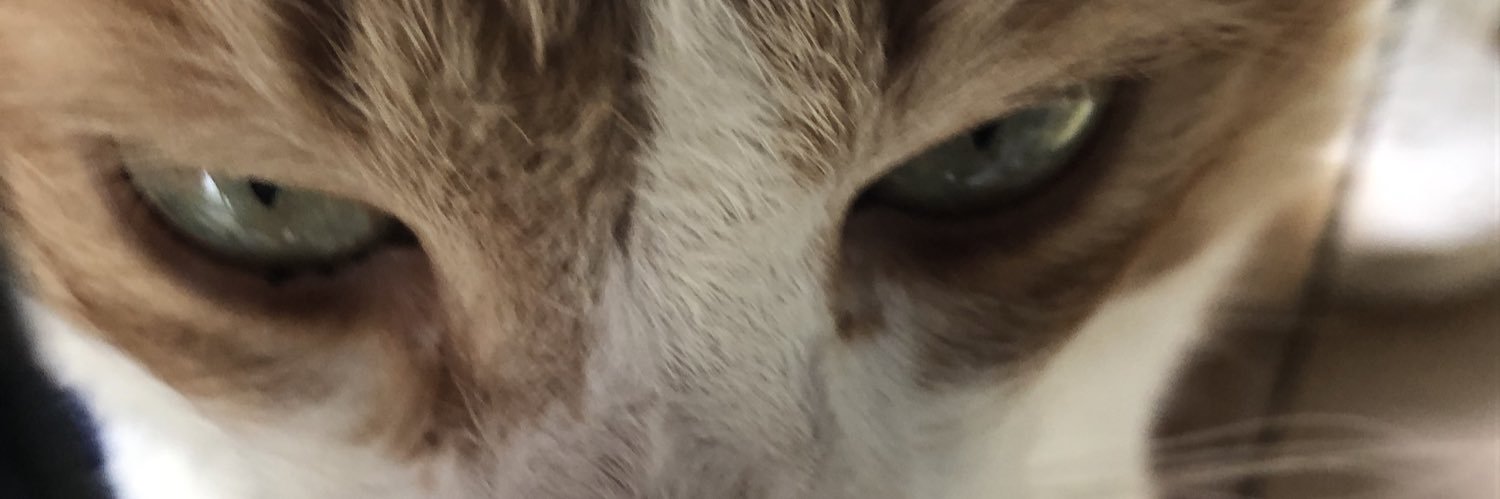 ashmsrii's profile banner image