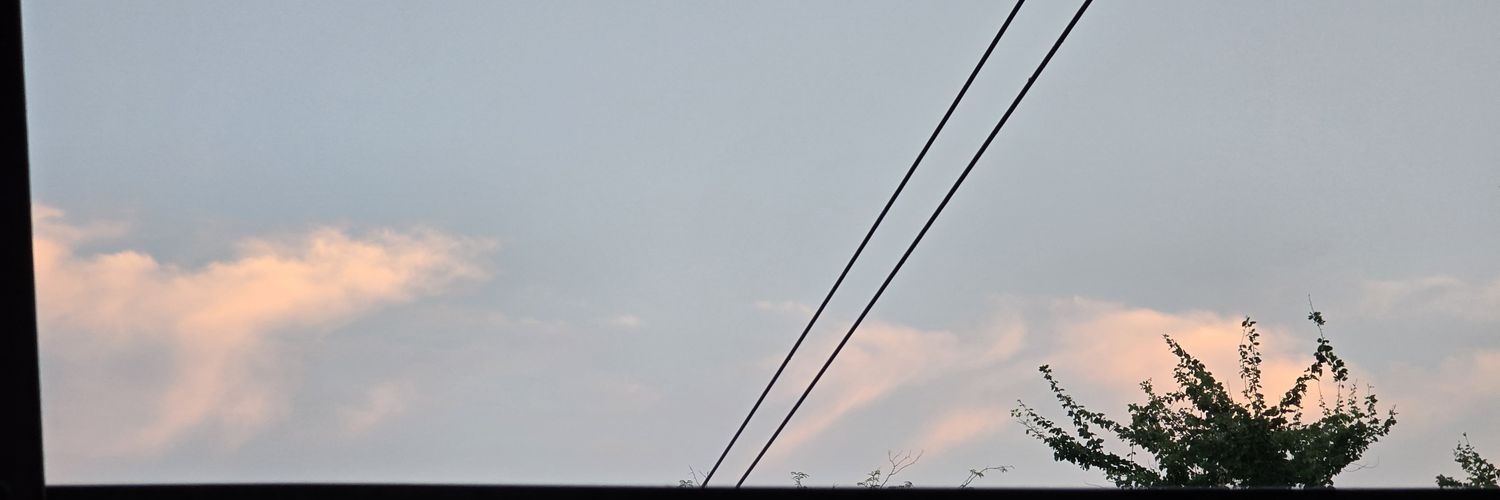Minty banner