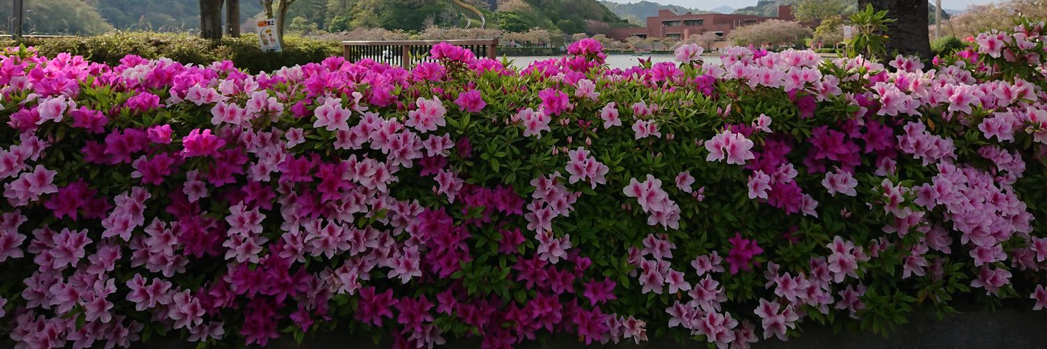 graces_garden's profile banner image