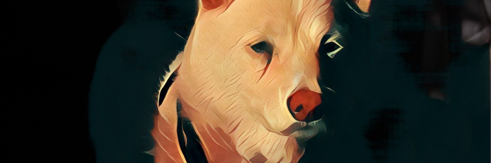 TGF_William's profile banner image