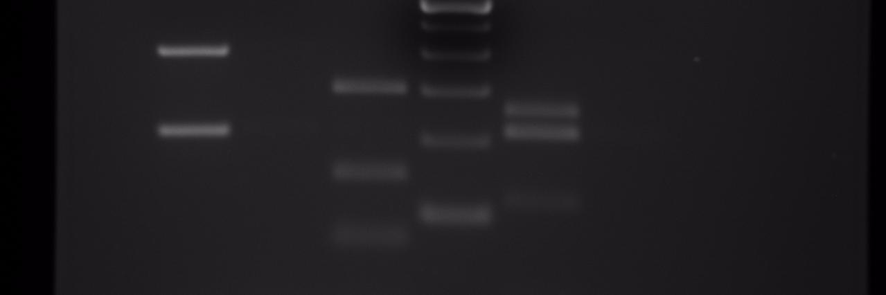 SLim_Lime's profile banner image