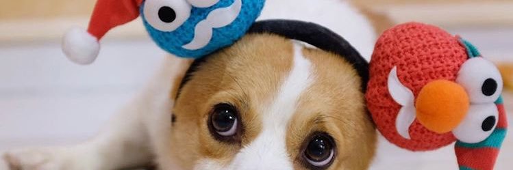 aimsswp's profile banner image