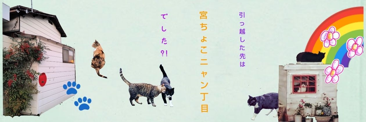 himitsu_no_'s profile banner image