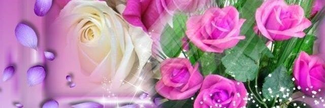 hhussein11931's profile banner image