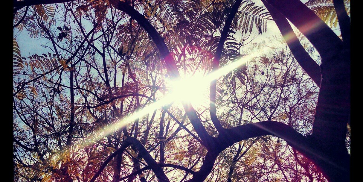 Saira_leon's profile banner image