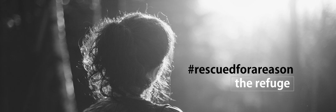 refugegroups's profile banner image
