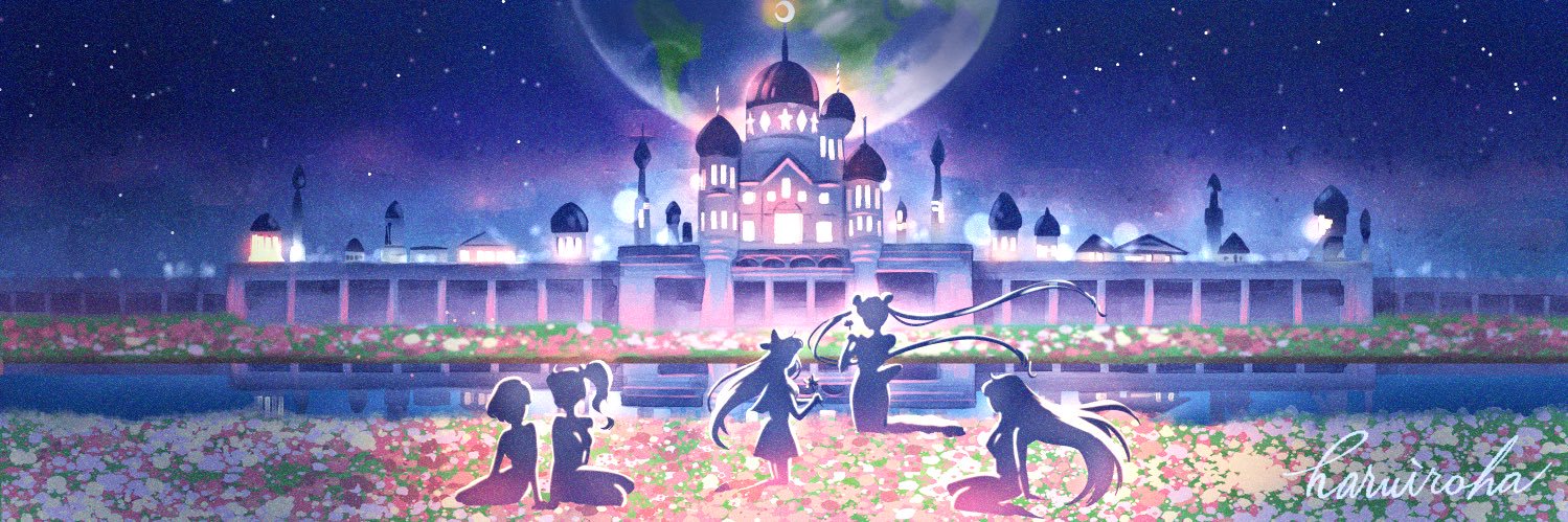 sailormoon5555's profile banner image
