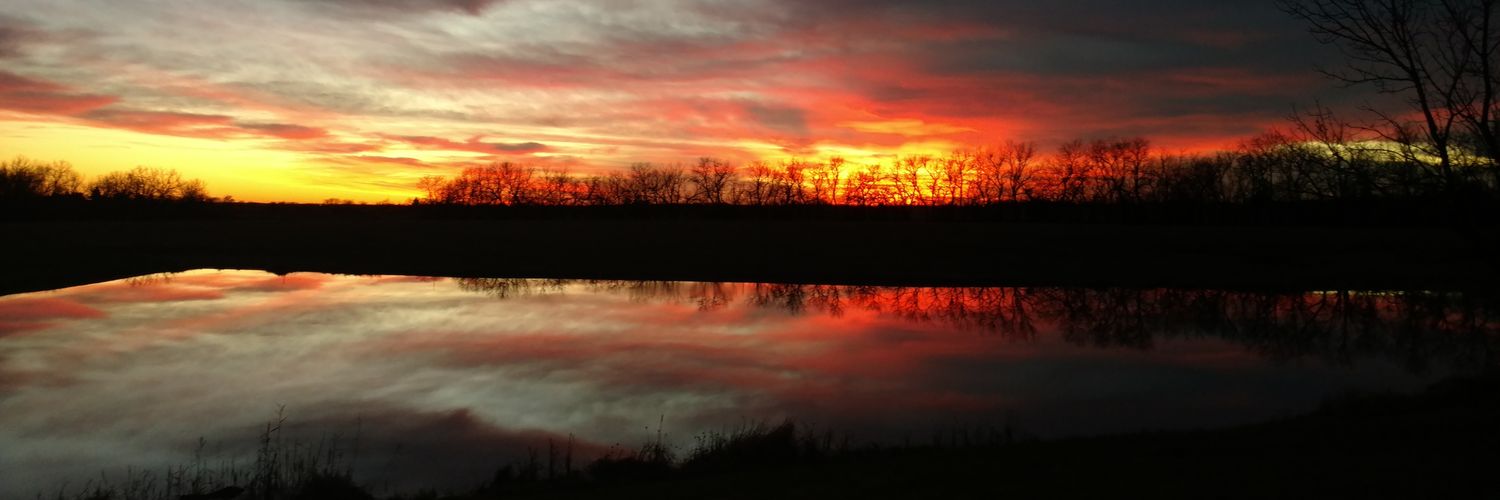 brandonlitch's profile banner image