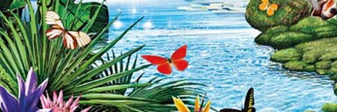 afonso banner