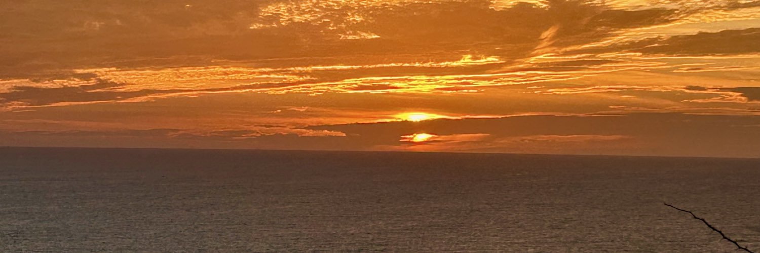 MayremF's profile banner image