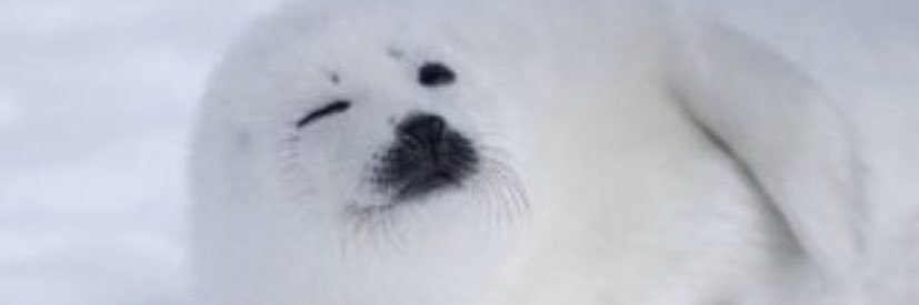 🌞EV(エレベーター)🌞 banner