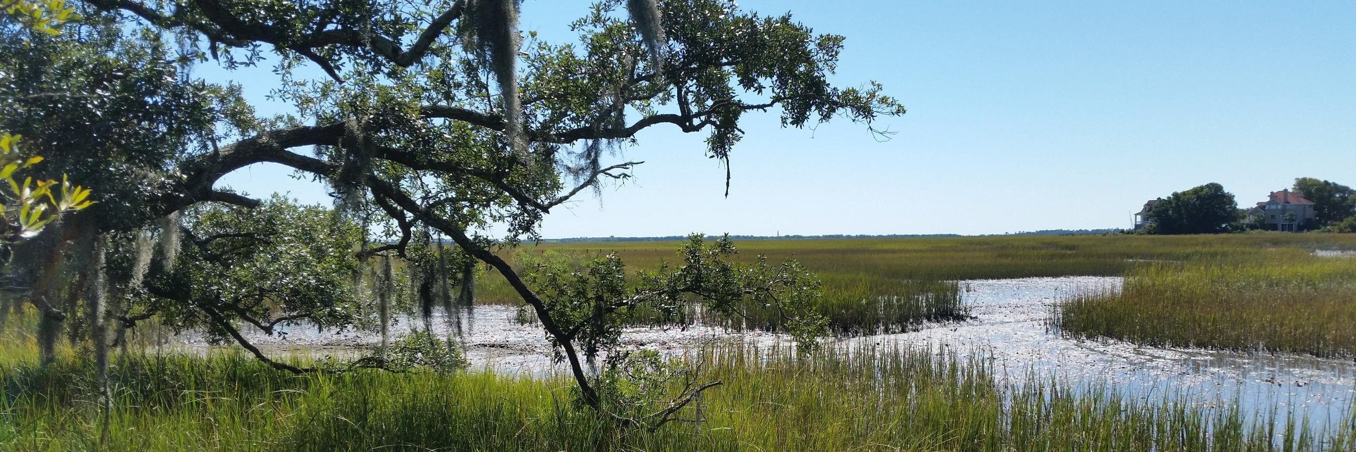Grice Marine Lab banner