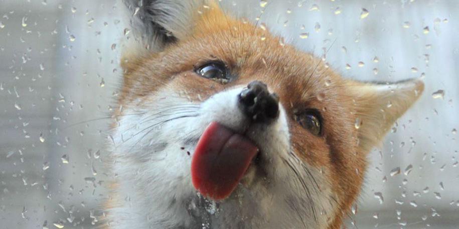 shynightmarez's profile banner image