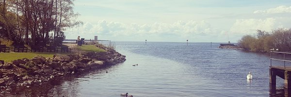 ZoeAnderson Profile Banner