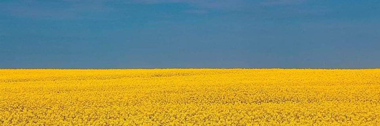 iSusanJoy's profile banner image