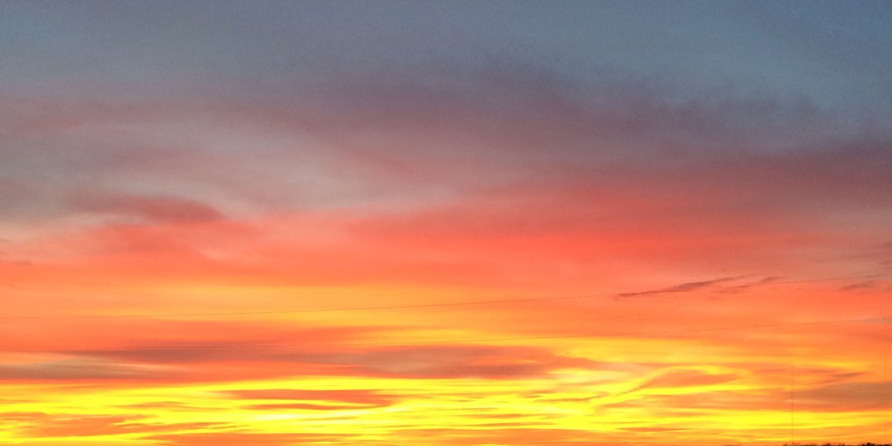 margie_reed's profile banner image