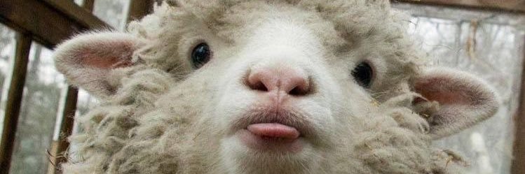 brooksftrauhl's profile banner image