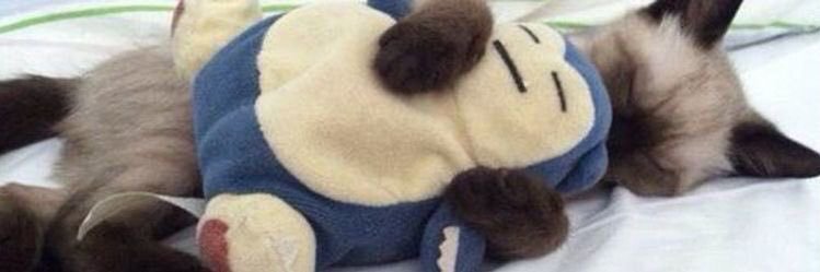 ؘؘashe luvs tobi's banner