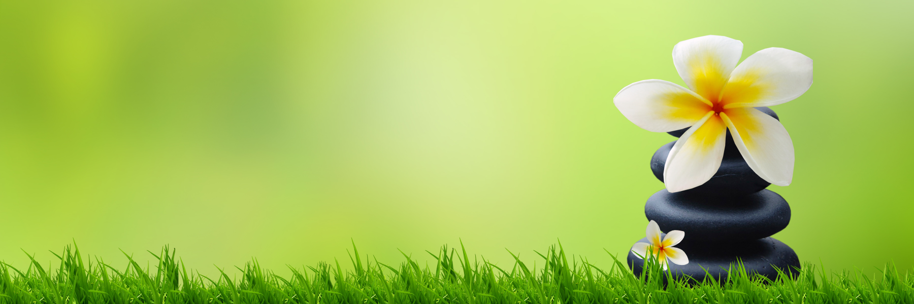 acuchirotmj's profile banner image