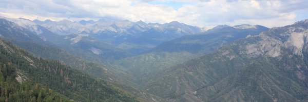 Almoody24 Profile Banner