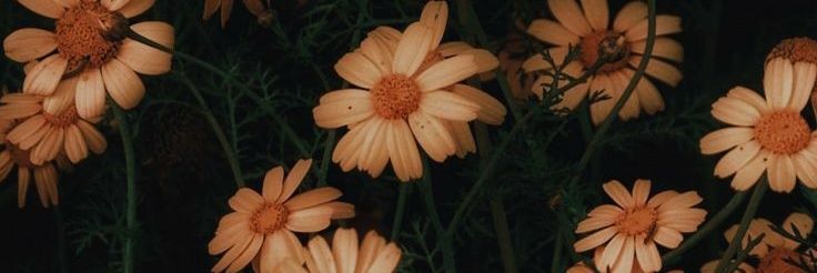 wwawewow's profile banner image