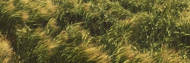 arni41's profile banner image