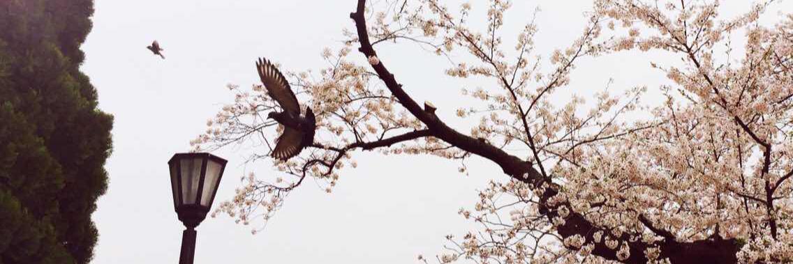 itamioo's profile banner image