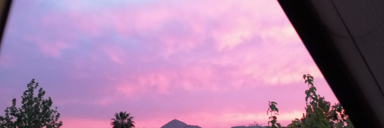 Barb_in_Chile's profile banner image