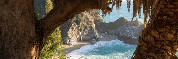 elbunt Profile Banner