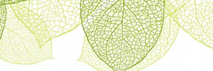 KAeducate's profile banner image