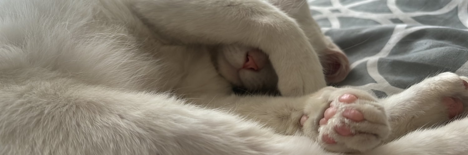 Lydiuslicious_'s profile banner image