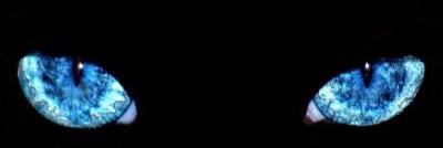 傲气女攻 banner