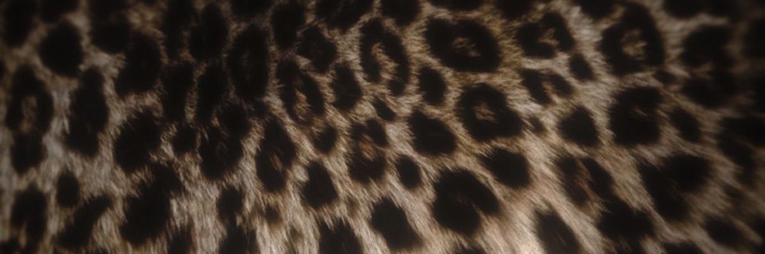 n banner