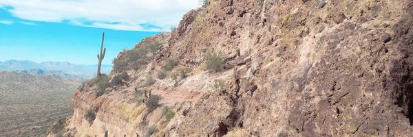 PeckhamA Profile Banner