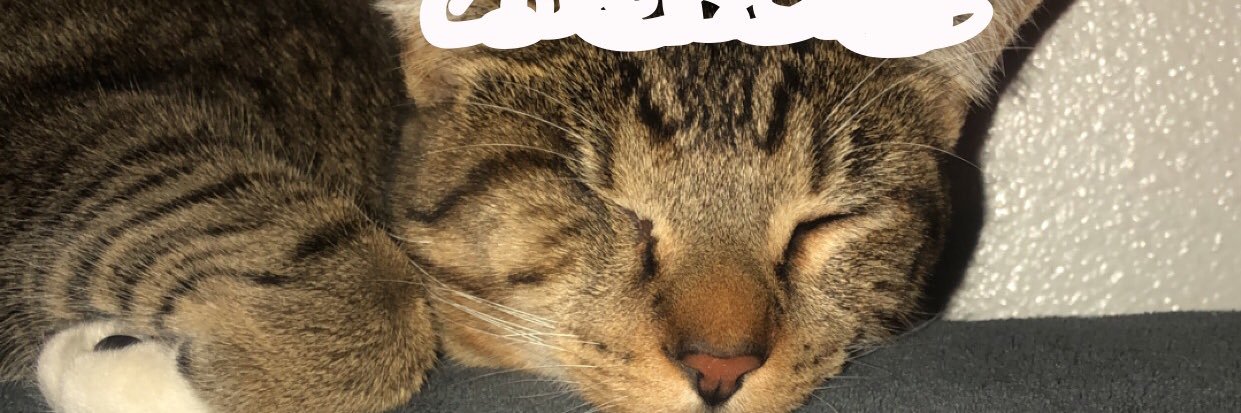 nikkiiwheaton's profile banner image