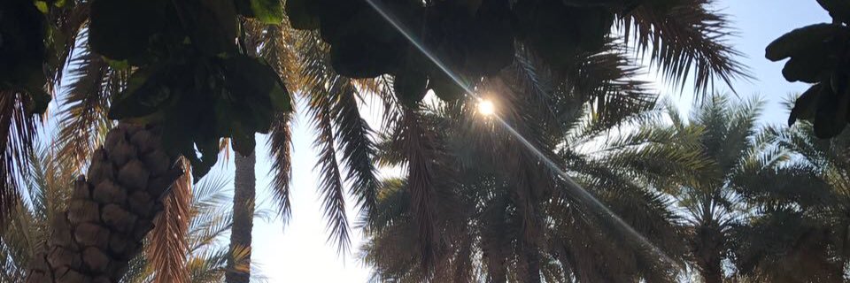 MohammedAlriyam's profile banner image
