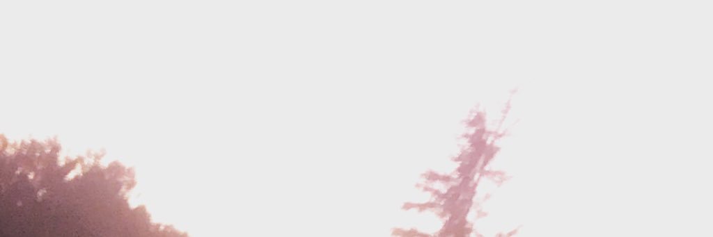 ArizeZero's profile banner image
