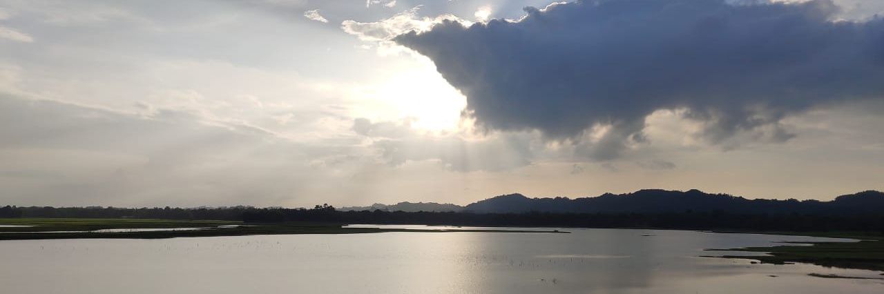 The DeshBhakt - Asli wale banner