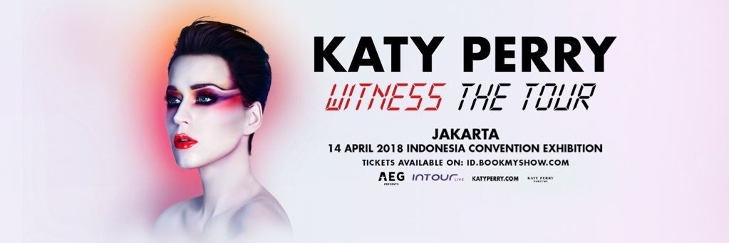 KatyCatsID's profile banner image