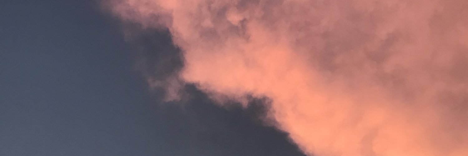 spamisgross's profile banner image
