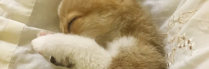 jsj8809's profile banner image