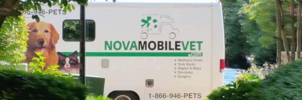 thepawdr's profile banner image