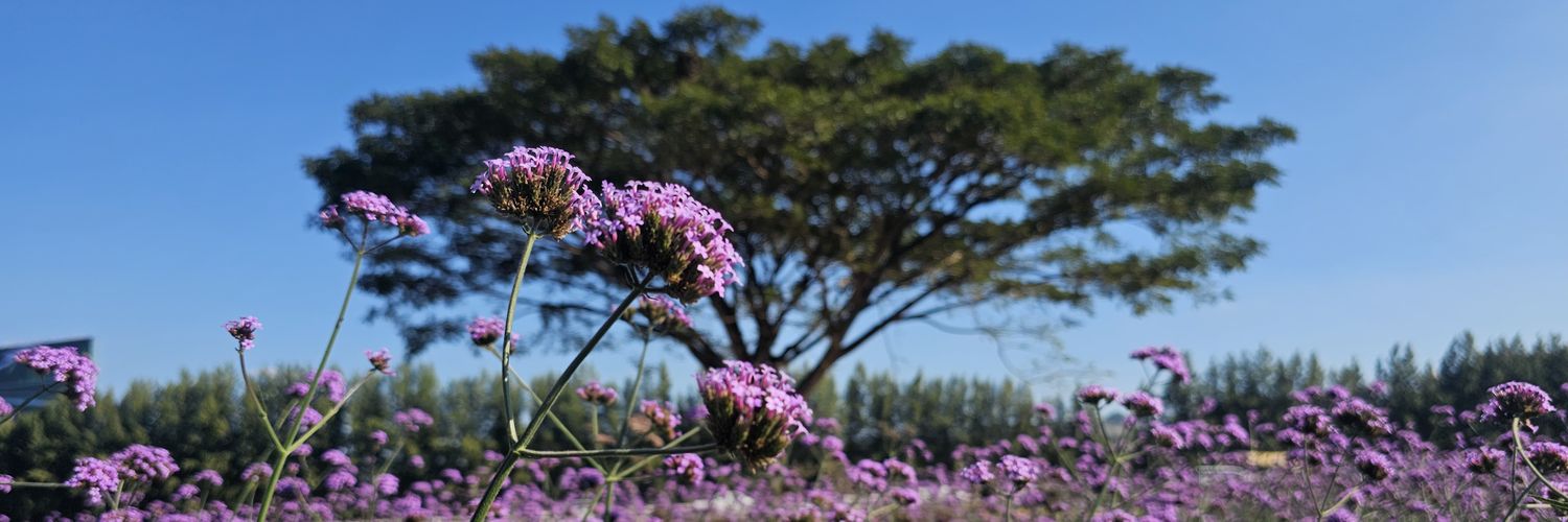 ปลายฟ้ากับปลาดาว🦁🐰🐷💚❤️ banner