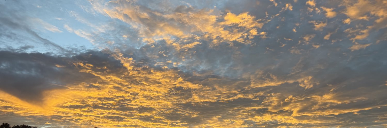 mavelline_'s profile banner image