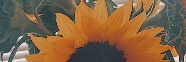 VM__LA's profile banner image