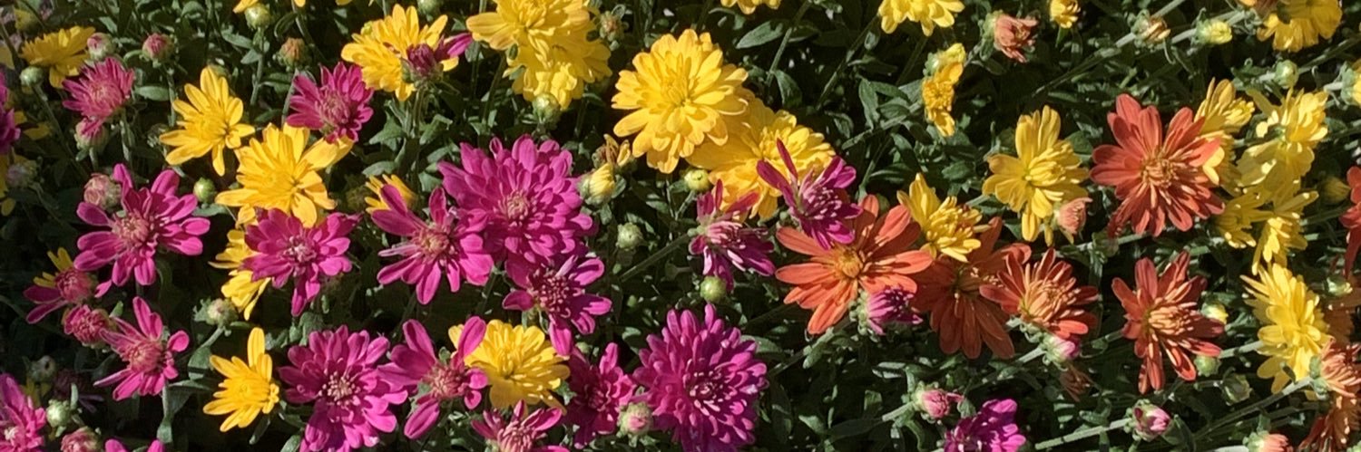 _caitlynf's profile banner image