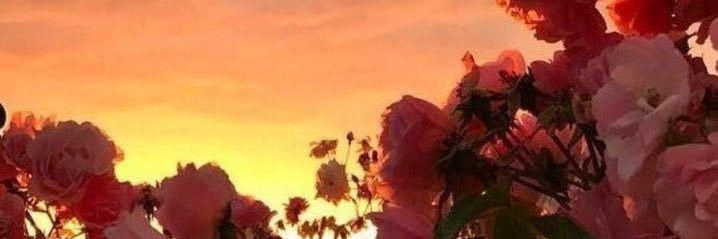 heartoutsmith's profile banner image