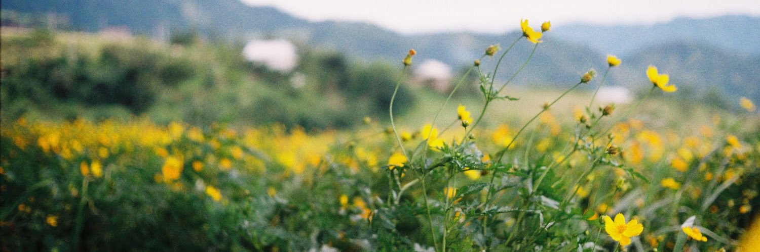 ปัลลีเอง banner