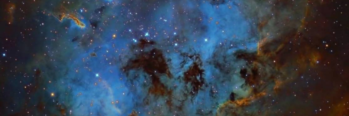 bringmorebooks's profile banner image